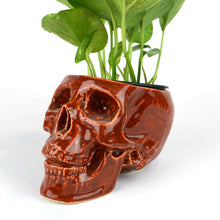 Load image into Gallery viewer, Human Skull Large Planters