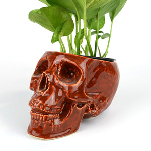 Human Skull Large Planters