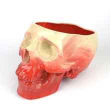 Load image into Gallery viewer, Human Skull Large Planters