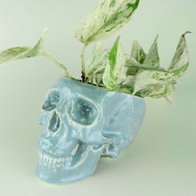 Load image into Gallery viewer, Human Skull Large Planters