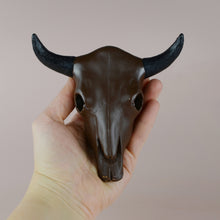Load image into Gallery viewer, Longhorn Bull Skull (6 inch)