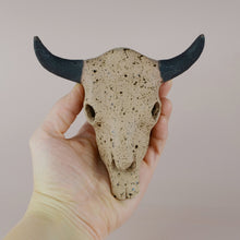Load image into Gallery viewer, Longhorn Bull Skull (6 inch)