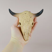 Load image into Gallery viewer, Longhorn Bull Skull (6 inch)