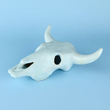 Load image into Gallery viewer, Longhorn Bull Skull (6 inch)