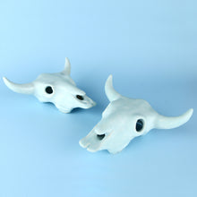 Load image into Gallery viewer, Longhorn Bull Skull (6 inch)