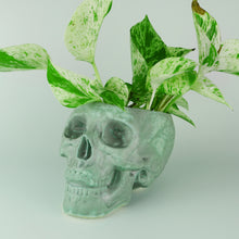 Load image into Gallery viewer, Human Skull Large Planters