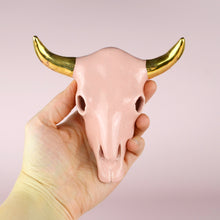 Load image into Gallery viewer, Longhorn Bull Skull (6 inch)