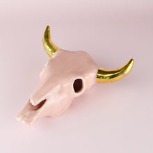 Load image into Gallery viewer, Longhorn Bull Skull (6 inch)