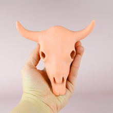 Load image into Gallery viewer, Longhorn Bull Skull (6 inch)