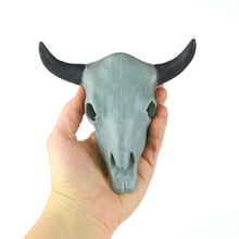Load image into Gallery viewer, Longhorn Bull Skull (6 inch)