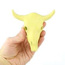 Load image into Gallery viewer, Longhorn Bull Skull (4.5 inch)